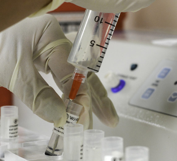 Innovative Stem Cell